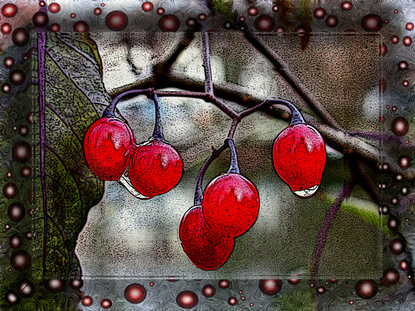 beeren