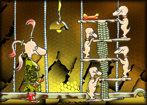 das Hund-o-rakel