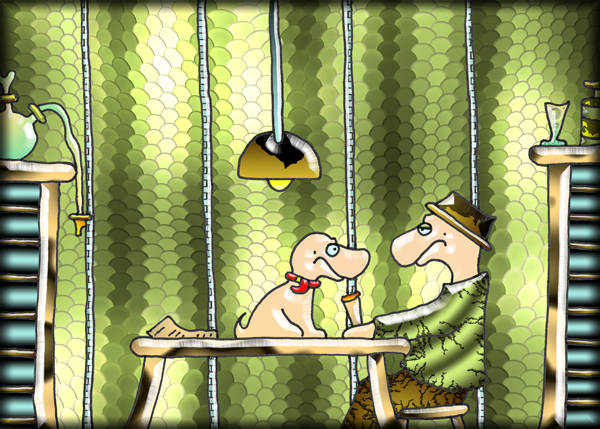das Hund-o-rakel