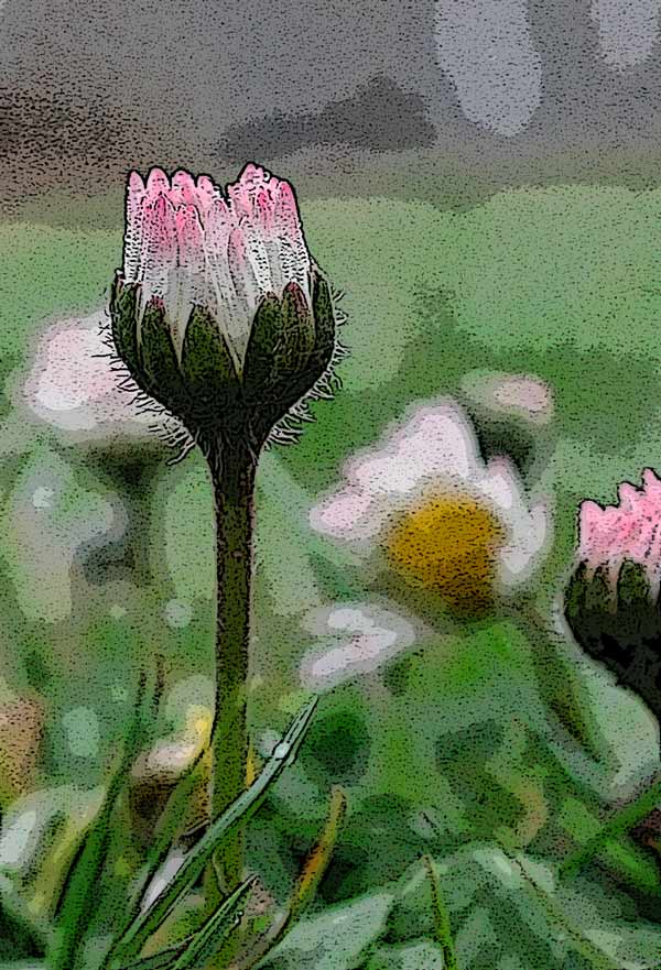 07_foto_036_600.jpg