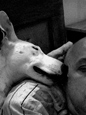07_foto_114_tn.jpg