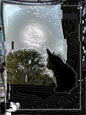 07_foto_123_tn.jpg