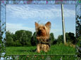 07_foto_181_tn.jpg