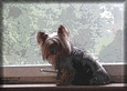 07_foto_242_tn.jpg