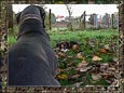 07_foto_288_tn.jpg