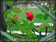 07_foto_294_tn.jpg