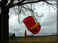 Waiting for Frühling