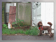 Hund trifft Hund