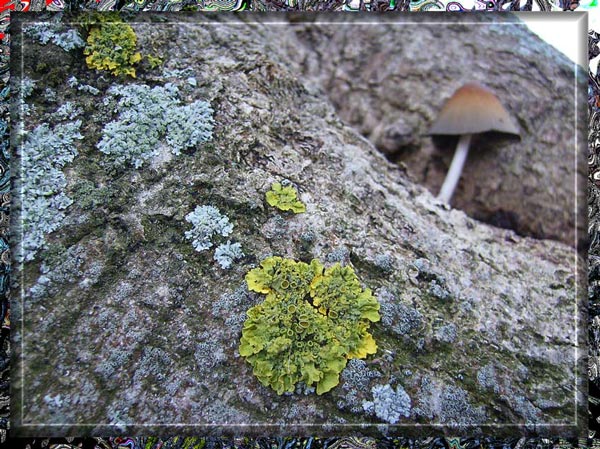 Naturereignis