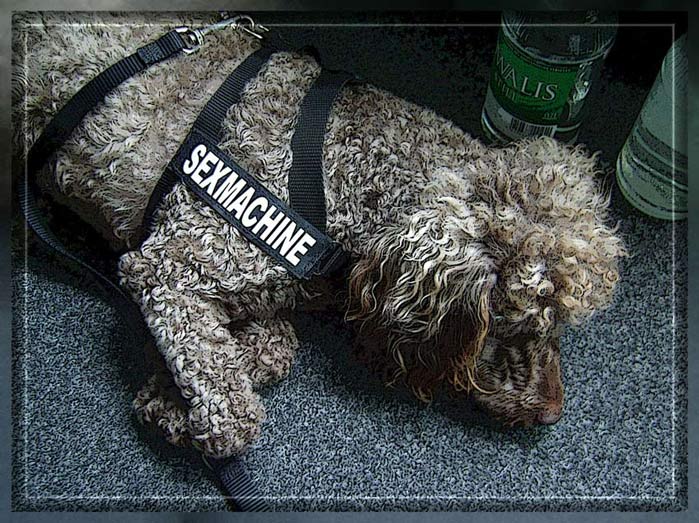 Un' isch sach noch: