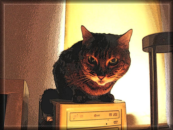 compucat