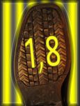 31